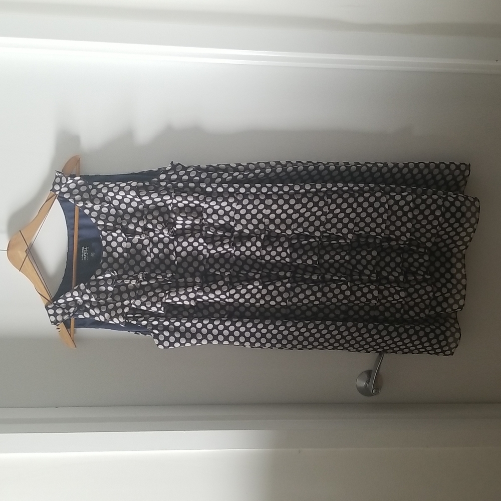 Plus Size Adriana Papell Polka Dot Ruffle Dress